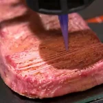 Bukan Hoax! Rahasia Sains di Balik Daging Nabati & Makanan 3D Printing yang Lagi Hits - phillyist.com