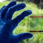 Kaca Canggih Solar Panel Transparan Bikin Gedung Jadi Pabrik Listrik! - phillyist.com